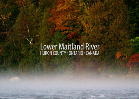 Explore the Lower Maitland River